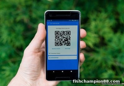捕鱼王者带你全面掌握TRC20充值审核与代理返佣：高效玩法与实战指南