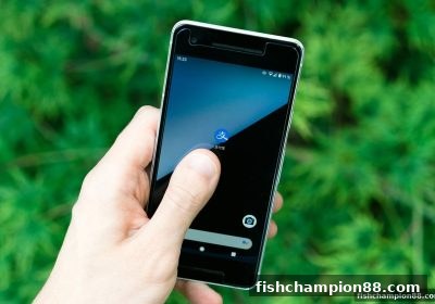 捕鱼王者玩家必读：ERC20提现延迟破解指南与到账加速秘籍