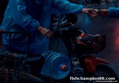 捕鱼王者玩家必读：快3数字游戏USDT充值审核避坑全攻略
