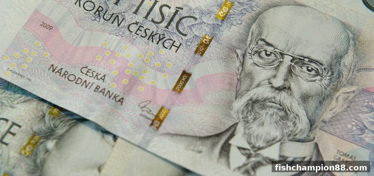 捕鱼王者支招：USDT入金审核如何兼顾隐私与资金安全？深度解析与实操策略