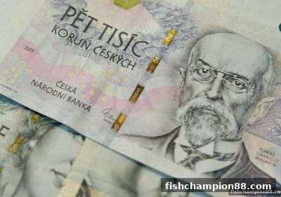 捕鱼王者支招：USDT入金审核如何兼顾隐私与资金安全？深度解析与实操策略