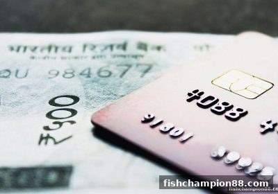 捕鱼王者USDT提现到账全攻略：速度优化与快捷支付详解