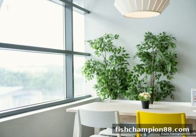捕鱼王者深度解析：免实名出款真人游戏的心理机制、镜像站风险与理性参与策略