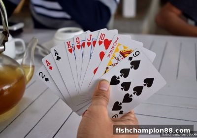 捕鱼王者带你玩转广东麻将：规则、番种、技巧与进阶全攻略