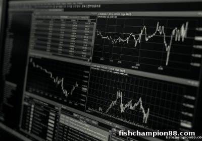 捕鱼王者：历史开奖数据全解析，从源头掌握号码分布逻辑