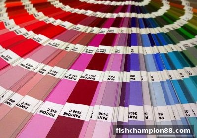捕鱼王者教你玩转彩票走势图：数据解读与概率计算实战入门