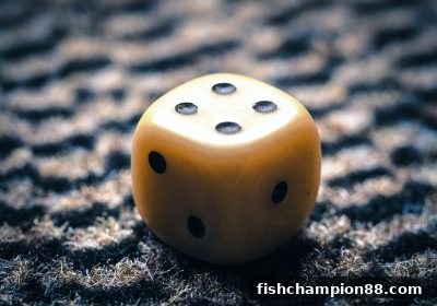 捕鱼王者揭秘：开奖号码历史记录诈骗的真面目与防范指南