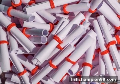 捕鱼王者教你玩转双色球复式投注：数学法则与高效组合策略全揭秘