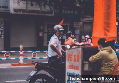 捕鱼王者视角：快开彩票高频玩法全解析与理性参与指南