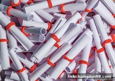 捕鱼王者视角：互动彩票的道德准则与透明规范全解析