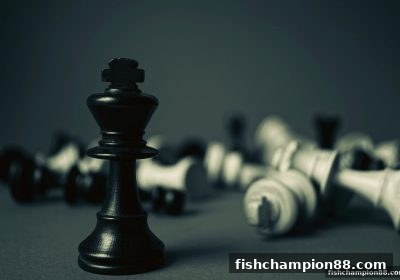 捕鱼王者带你破解咪牌与掼蛋的实战反制逻辑