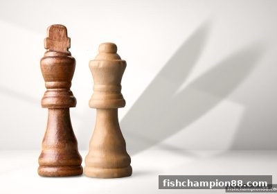 血战麻将全攻略：捕鱼王者带你领略竞技魅力与进阶之道