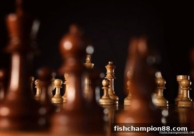 捕鱼王者带你玩转围棋：零基础到高手的术语与实战概念全解析