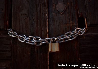 捕鱼王者带你揭秘：龙虎玩法概率真相与高效维权指南