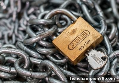 捕鱼王者深度排雷：存款百分百送活动的真相与操作指南