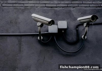 捕鱼王者如何打造坚不可摧的资金安全防线？节日红包活动全面解析