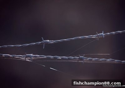 捕鱼王者合规解码：马耳他牌照如何构筑安全堡垒？