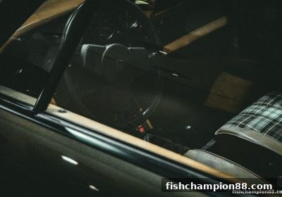 捕鱼王者带你读懂RTP：电子娱乐返还率的核心奥秘