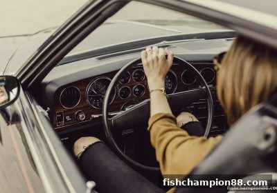 捕鱼王者带你剖析电子游艺参数数据：从RTP到RNG的理性指南