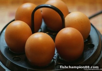 捕鱼王者秘技：玩转金沙城连线与英雄联盟竞猜的双重博弈智慧
